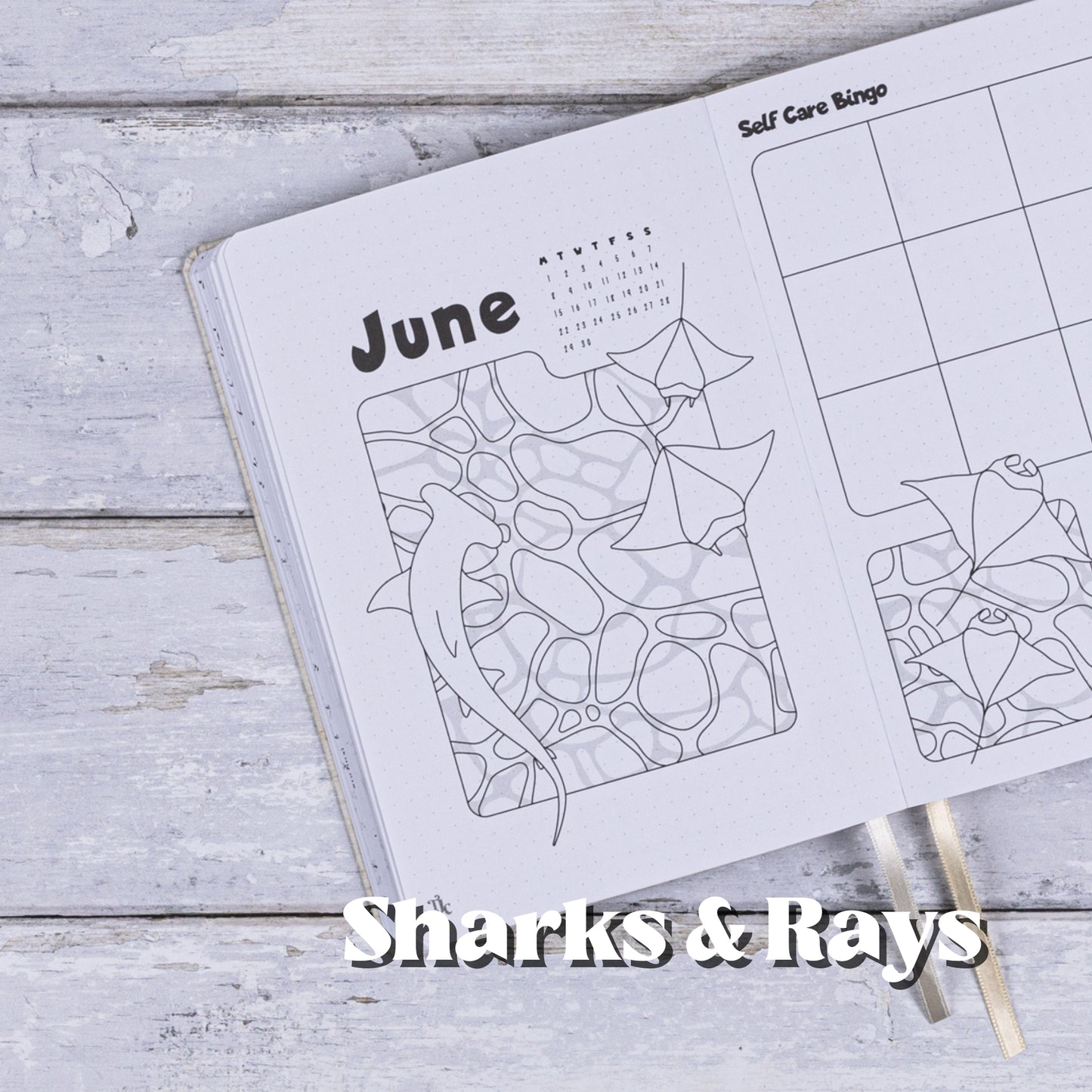 2026 Pre Made Journal - Blush