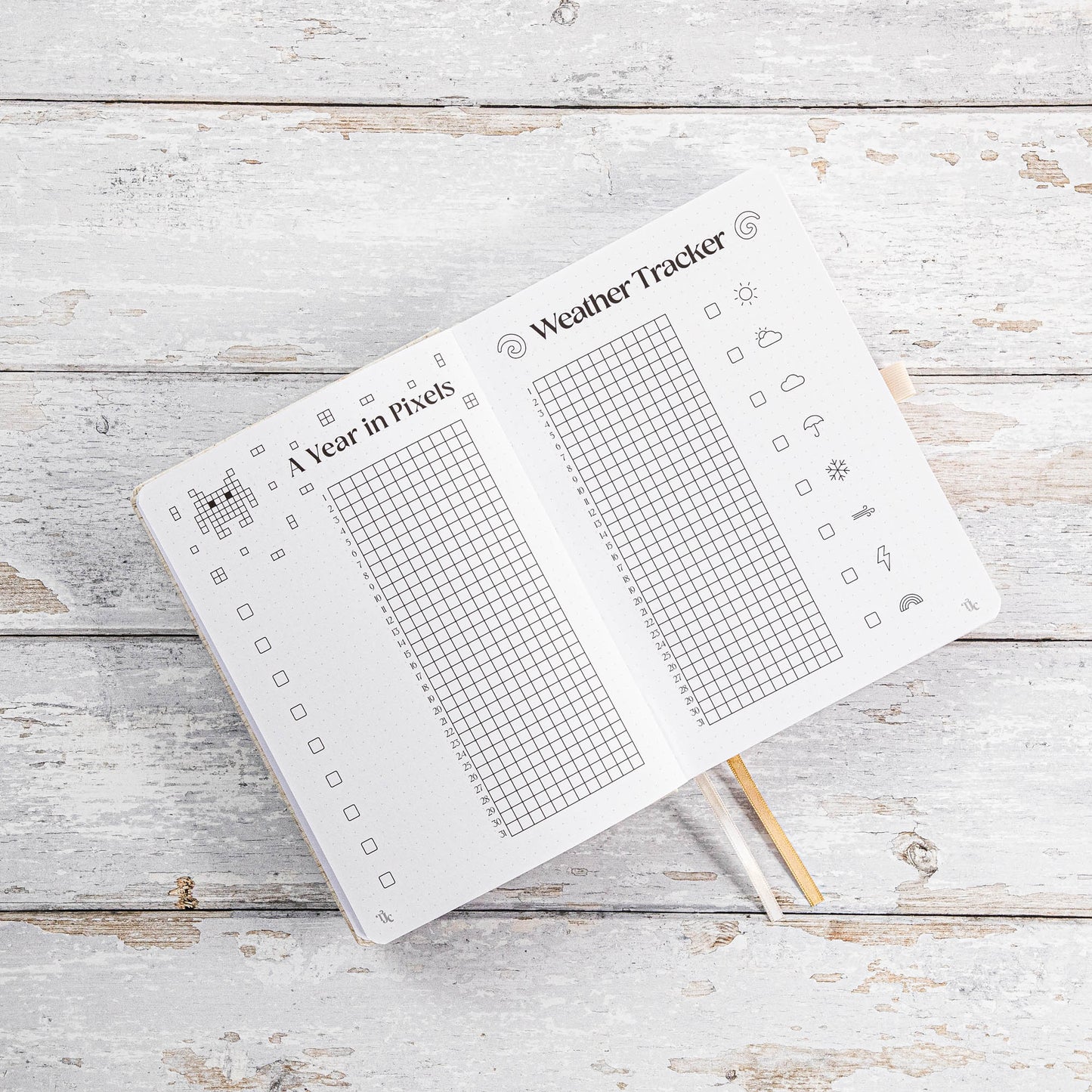 Undated Pre-made Journal - Blush