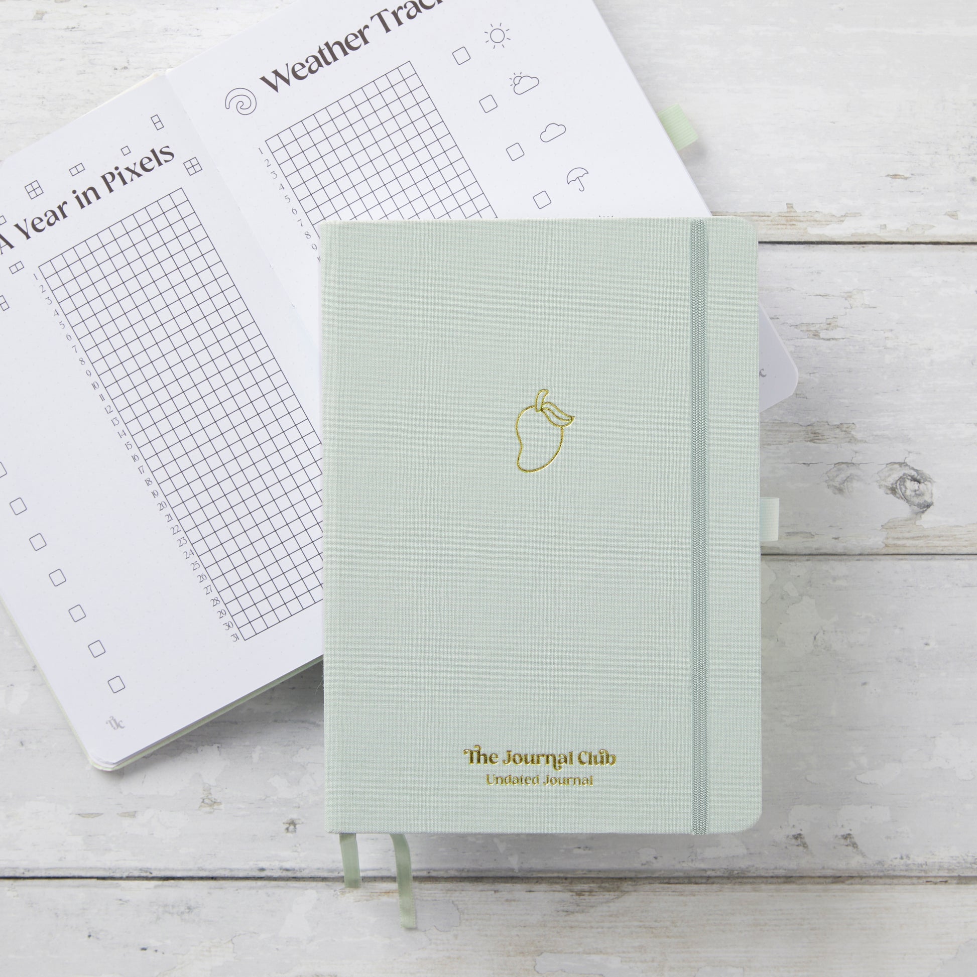 Undated Pre-made Journal - Sage – TheJournalClub